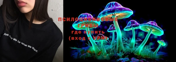 ECSTASY Вяземский