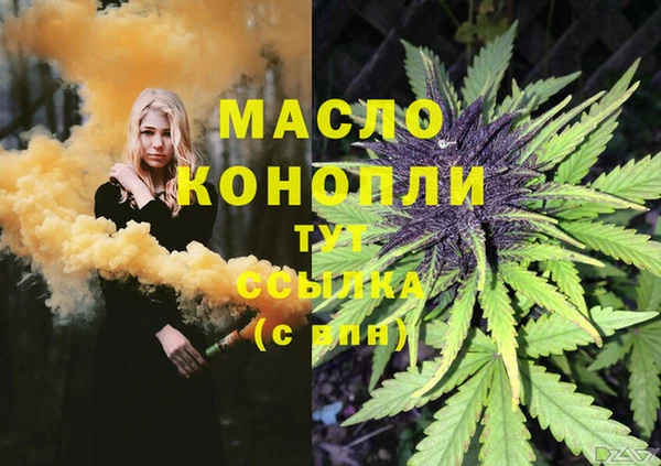 ECSTASY Вяземский